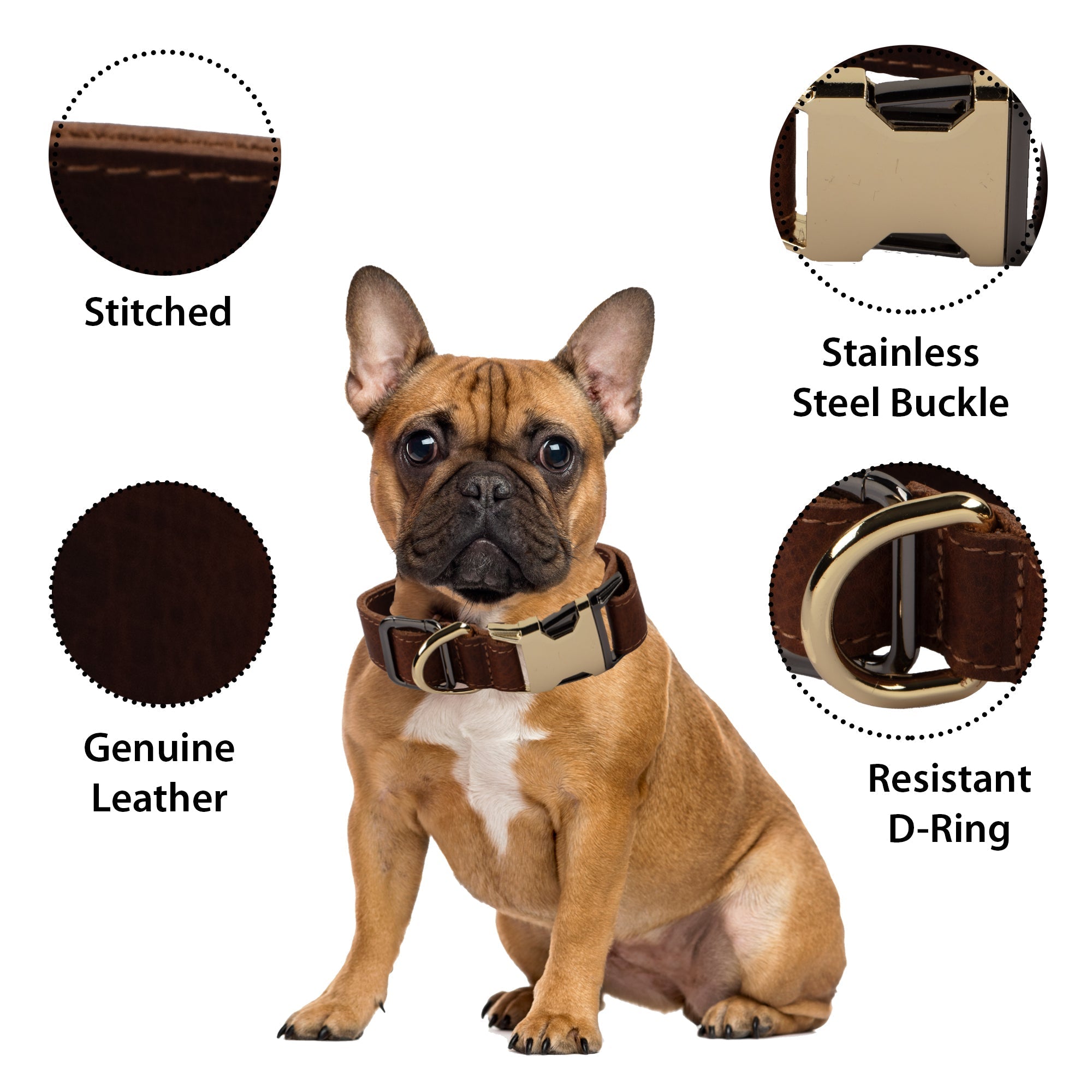 LupinnyLeather Genuine Leather Adjustable Strong Dog Collar for Large Medium Small Dogs 75