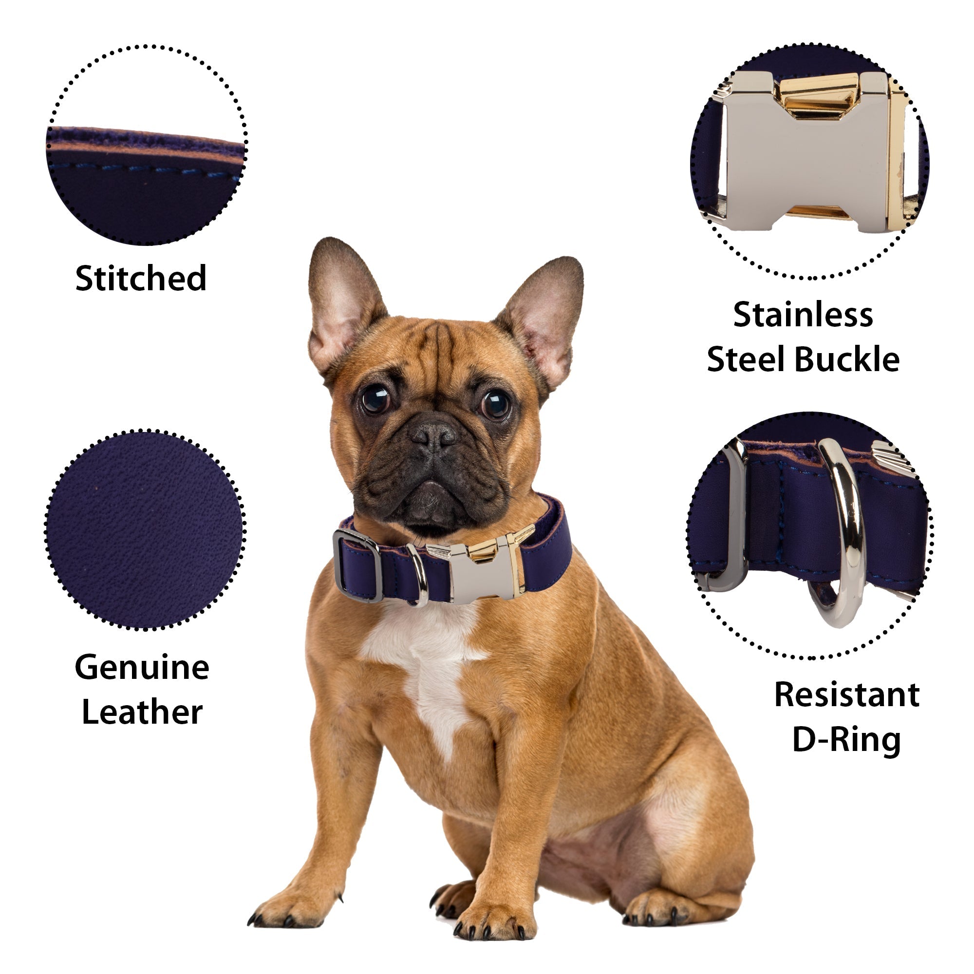 LupinnyLeather Genuine Leather Adjustable Strong Dog Collar for Large Medium Small Dogs 109