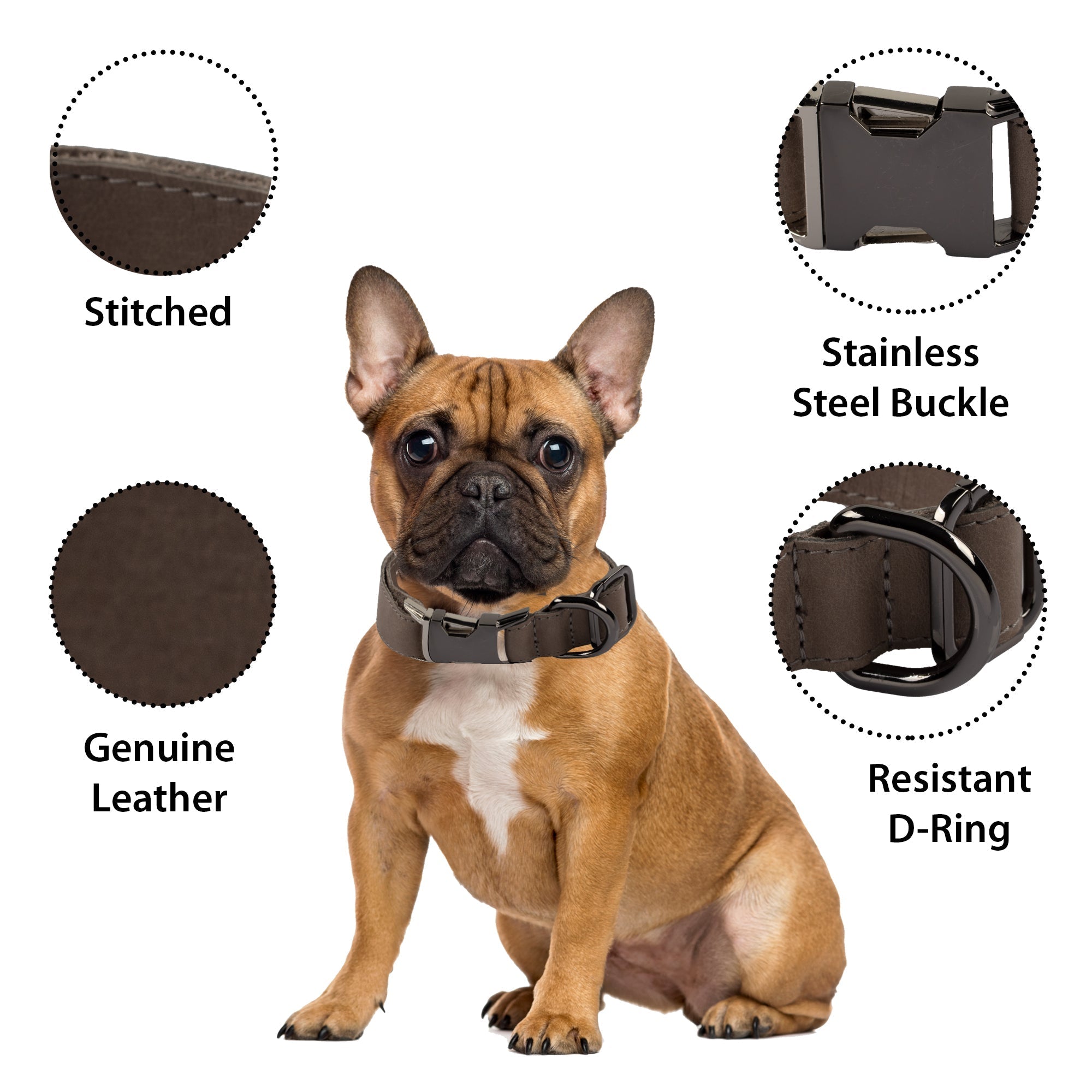 LupinnyLeather Genuine Leather Adjustable Strong Dog Collar for Large Medium Small Dogs 99