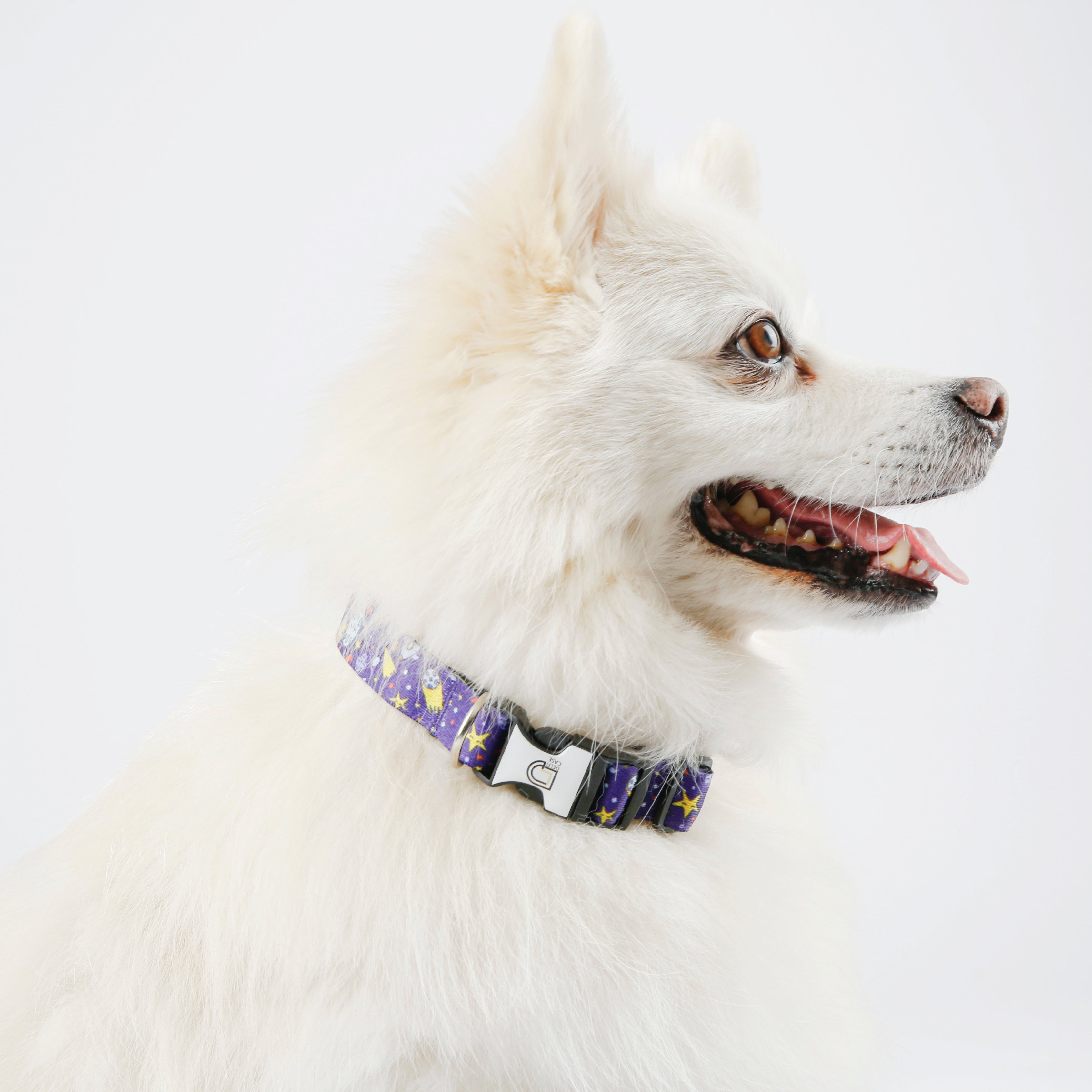 Fabric Patterned Adjustable Dog Collar