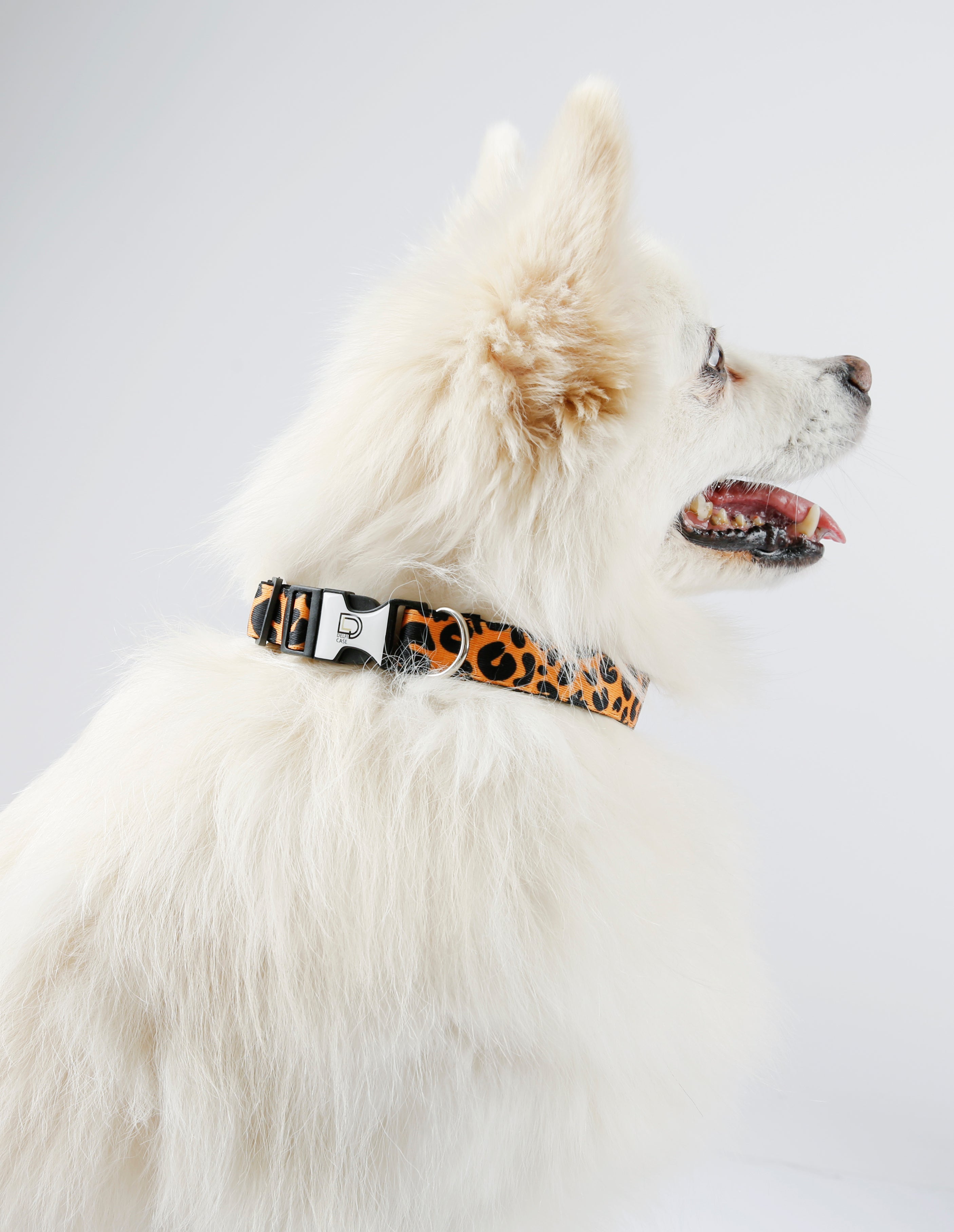 Fabric Patterned Adjustable Dog Collar