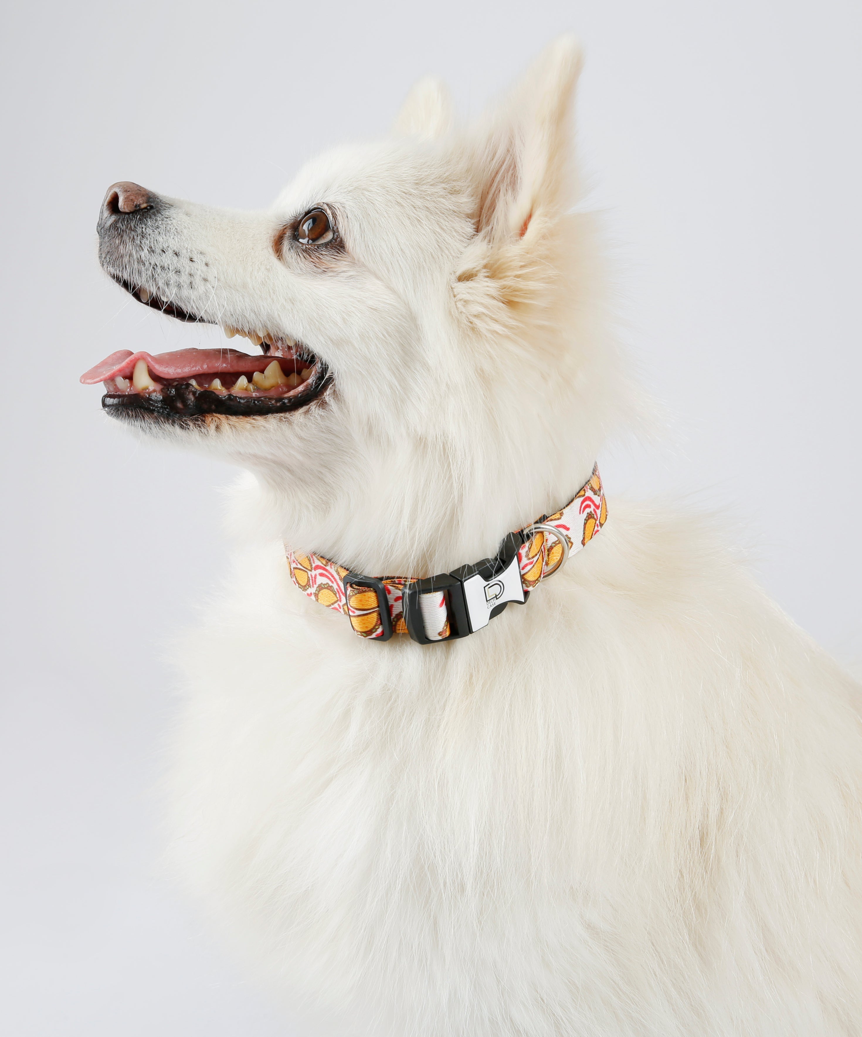 Fabric Patterned Adjustable Dog Collar